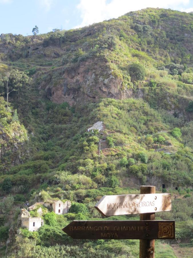 La Cueva De Angel B&B Firgas Bagian luar foto